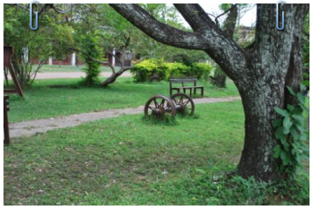 Bank im Park