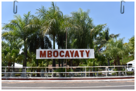 MBOCAYATY