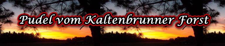 Unser altes Leben